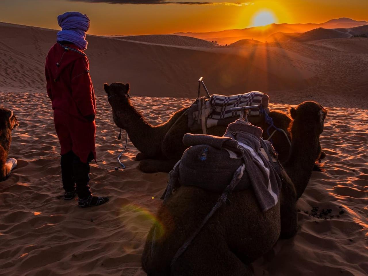Camp Under Stars (Adults Only) Merzouga Εξωτερικό φωτογραφία