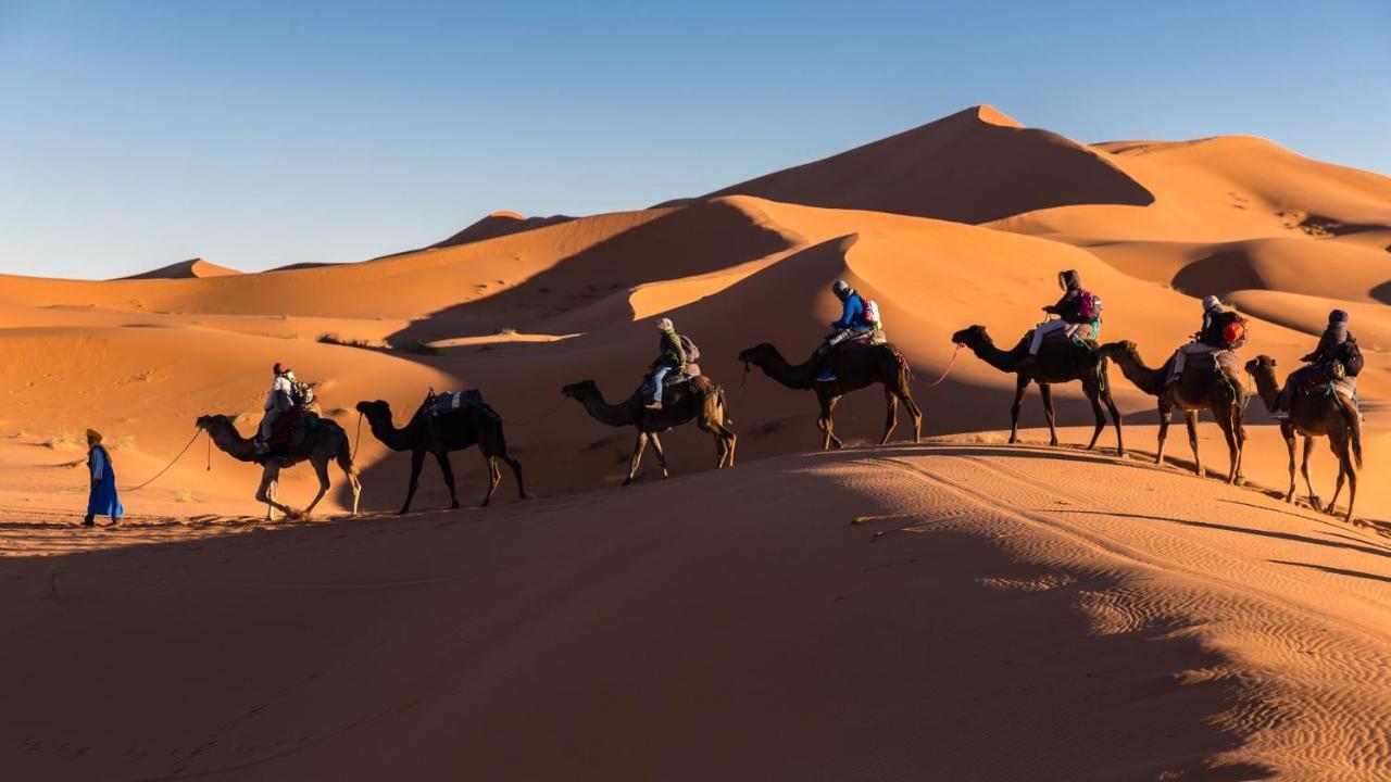Camp Under Stars (Adults Only) Merzouga Εξωτερικό φωτογραφία